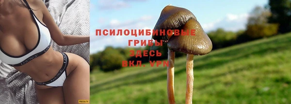 первитин Волоколамск