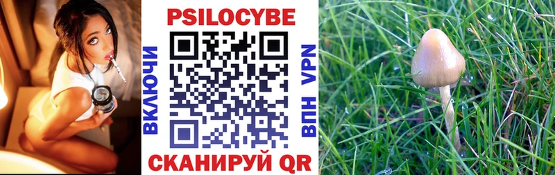 Псилоцибиновые грибы GOLDEN TEACHER как найти закладки гидра Калязин
